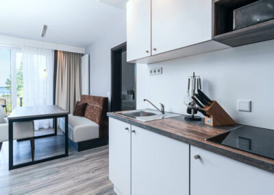 Kitchenette in the apartment