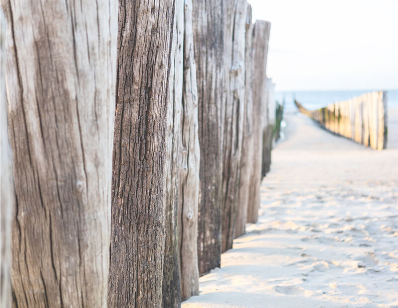 Wooden paths on the beach