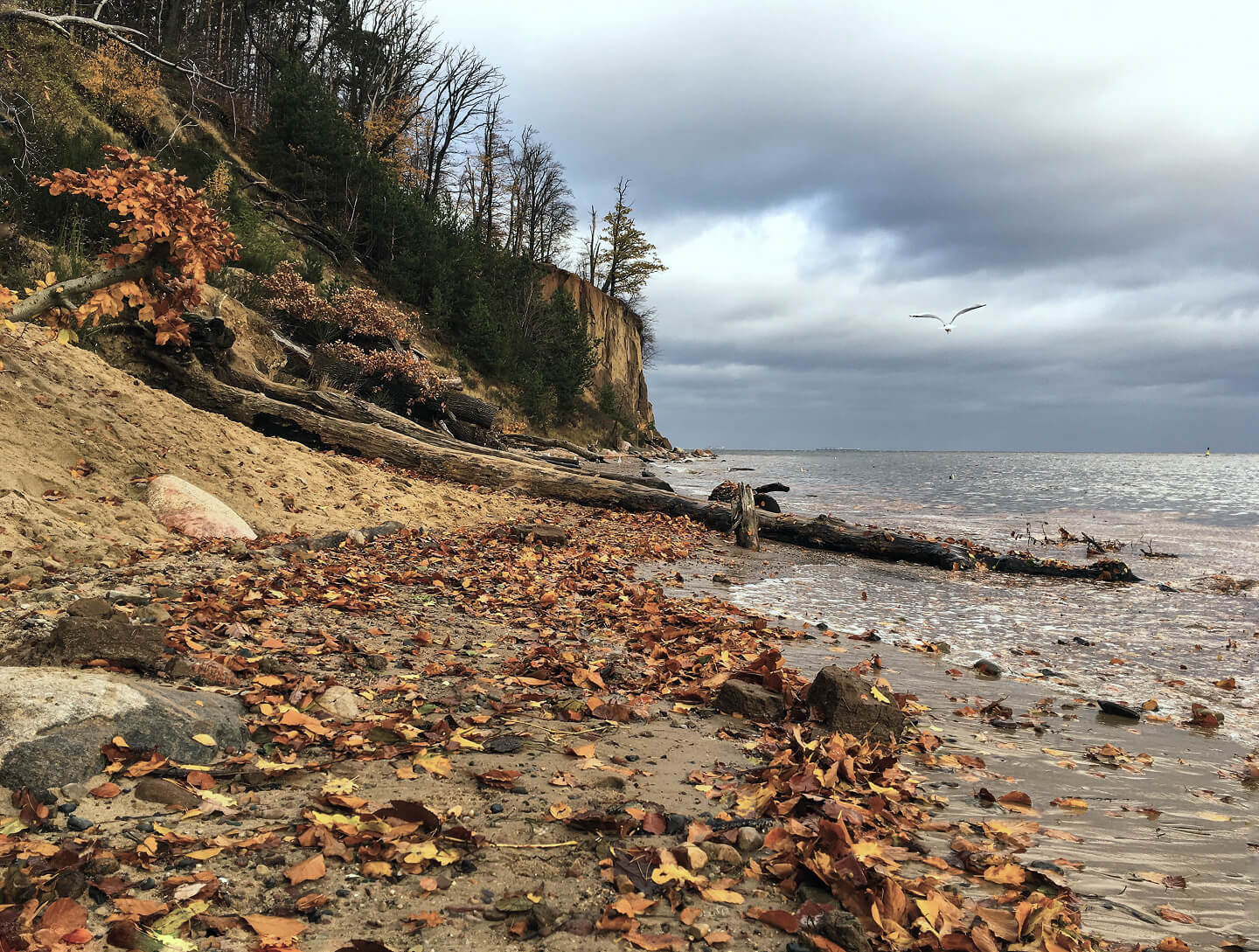 Herbstzeit auf Rügen