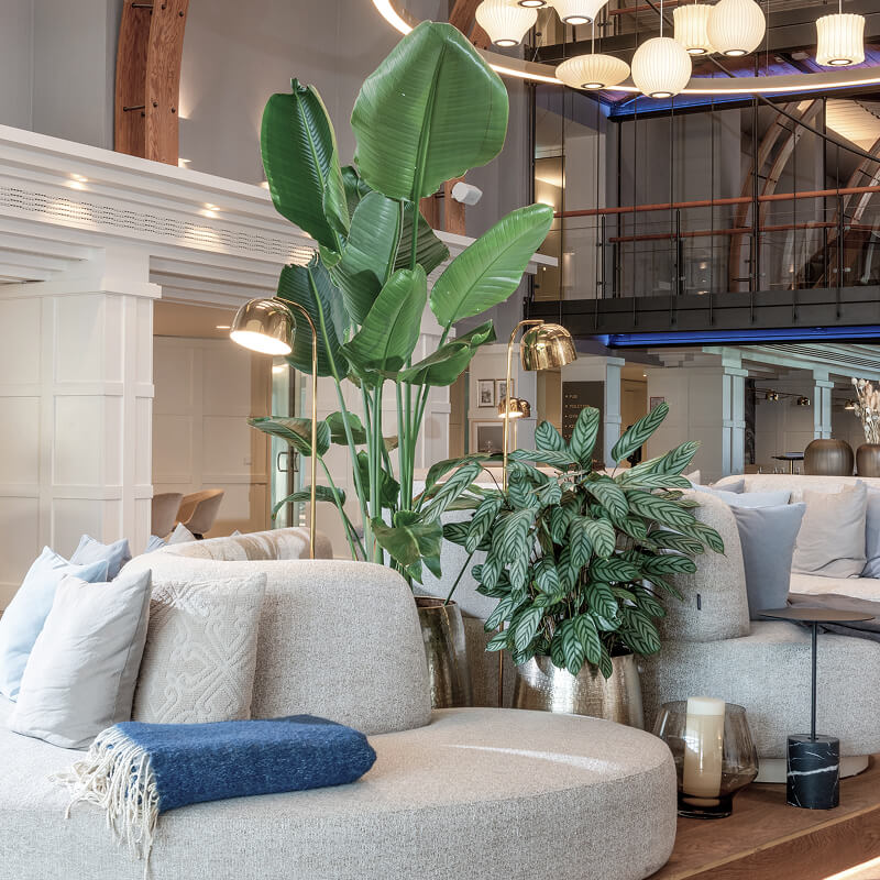 Lobby with cozy seating area