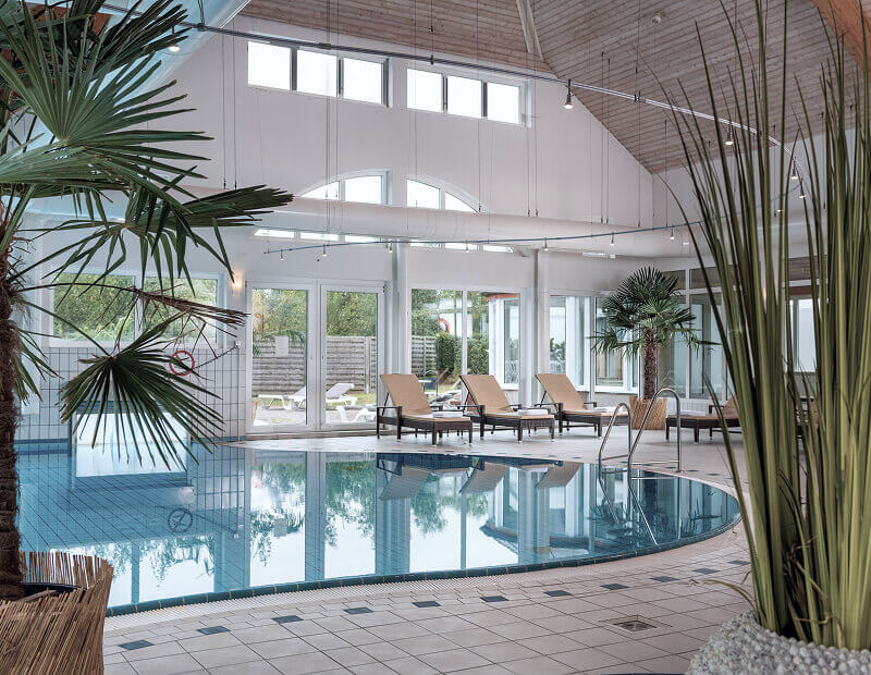 Indoor pool with palm trees and loungers